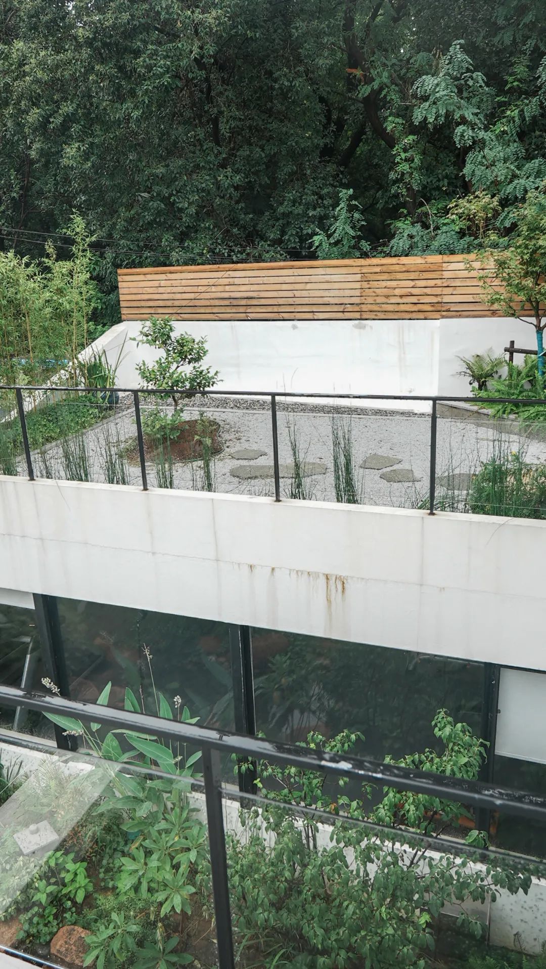 住在上海闹市400平的房子里，花开不败，开窗见池塘，太羡慕了