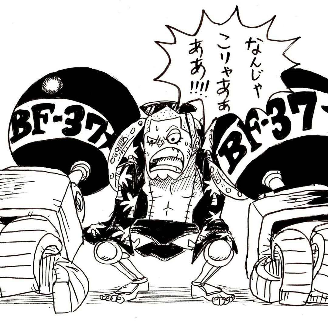 草帽团所有成员老了的样子,草帽团全部战死布鲁克靠果实存活