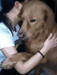 独居做饭电饭煲推荐,一人份米饭电饭煲推荐