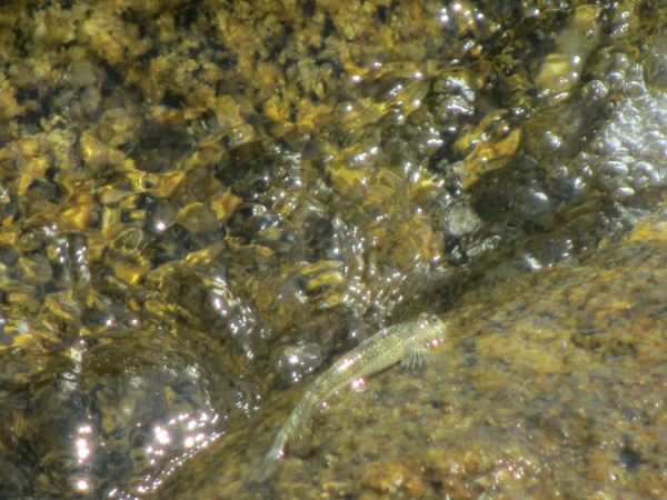 三亚自由行游玩路线,三亚自由行游玩攻略详细