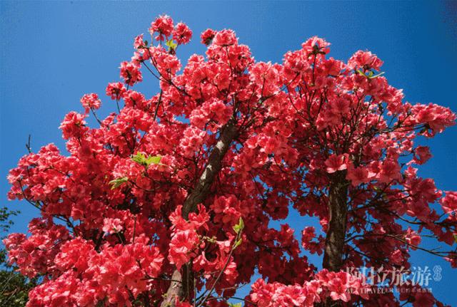 宁波网红游乐推荐,宁波室外十大网红游乐项目