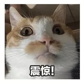 男女老少都适合的补气补血茶,当妈了也要保养自己