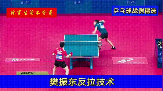 樊振东改变打法,樊振东战术体系分析