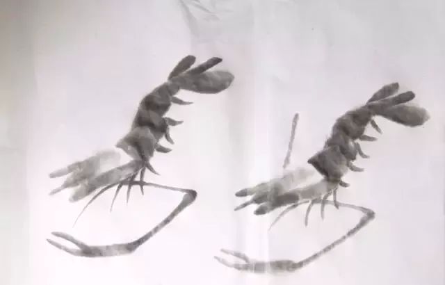 伍建丰画虾步骤图,画虾蟹的步骤图解