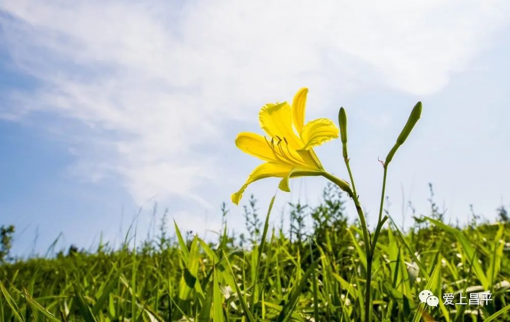 昌平游玩有山有水的地方推荐,昌平旅游攻略必去的地方
