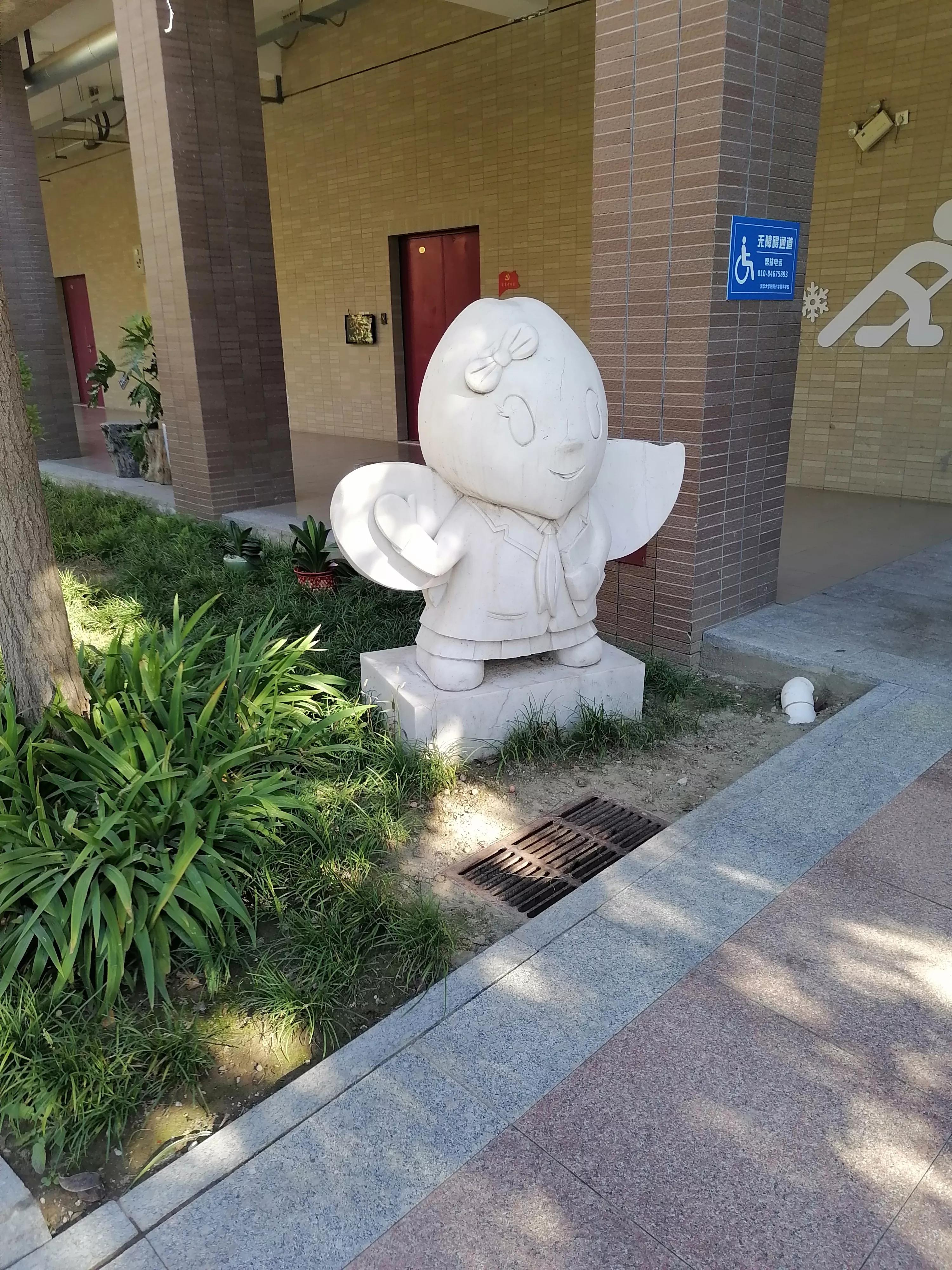 体育运动的价值和意义,体育运动的价值取向