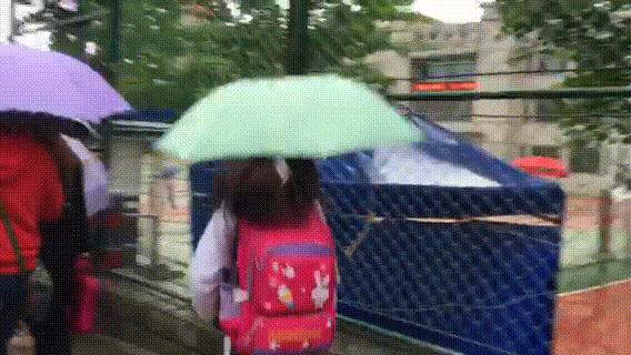 风雨中，“神兽”们返校了