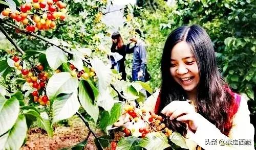 我的当兵之路800字,我的参军路