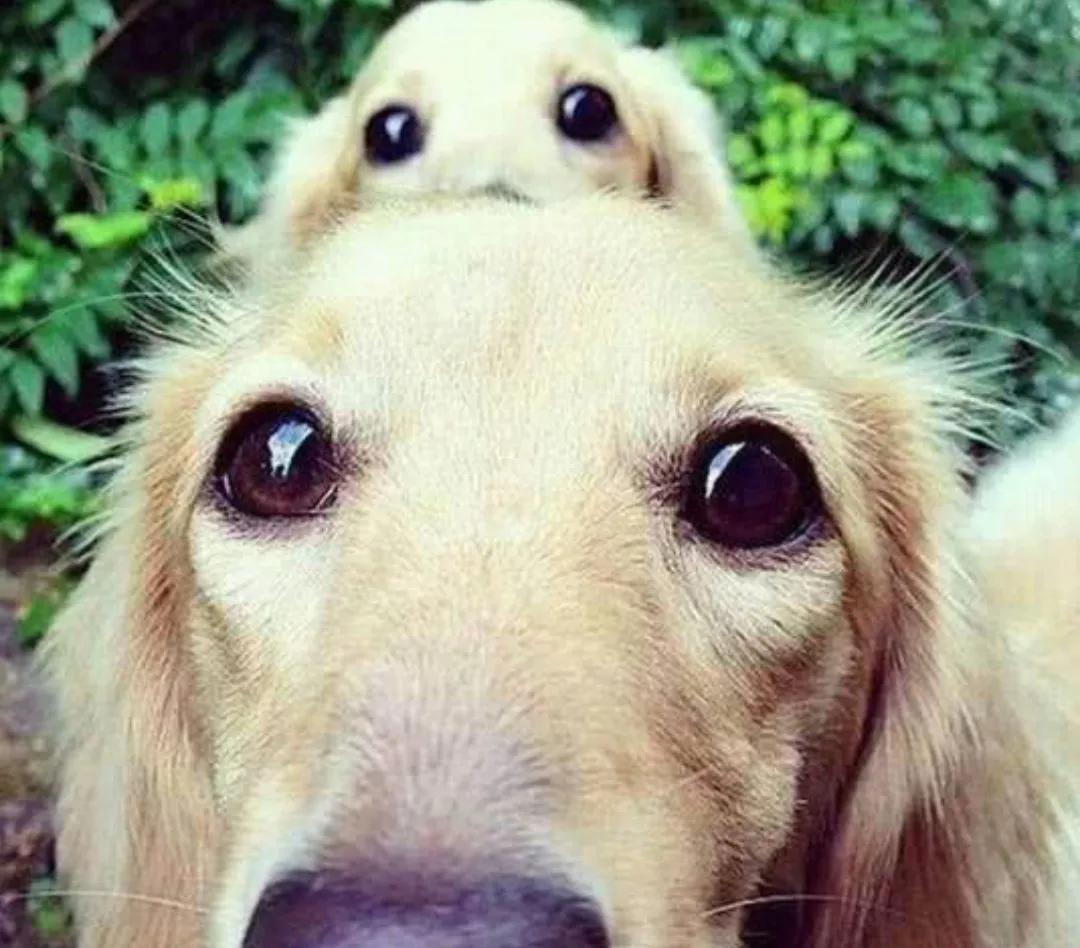 搞笑的冷笑话最好能笑死,非常搞笑的冷笑话大全