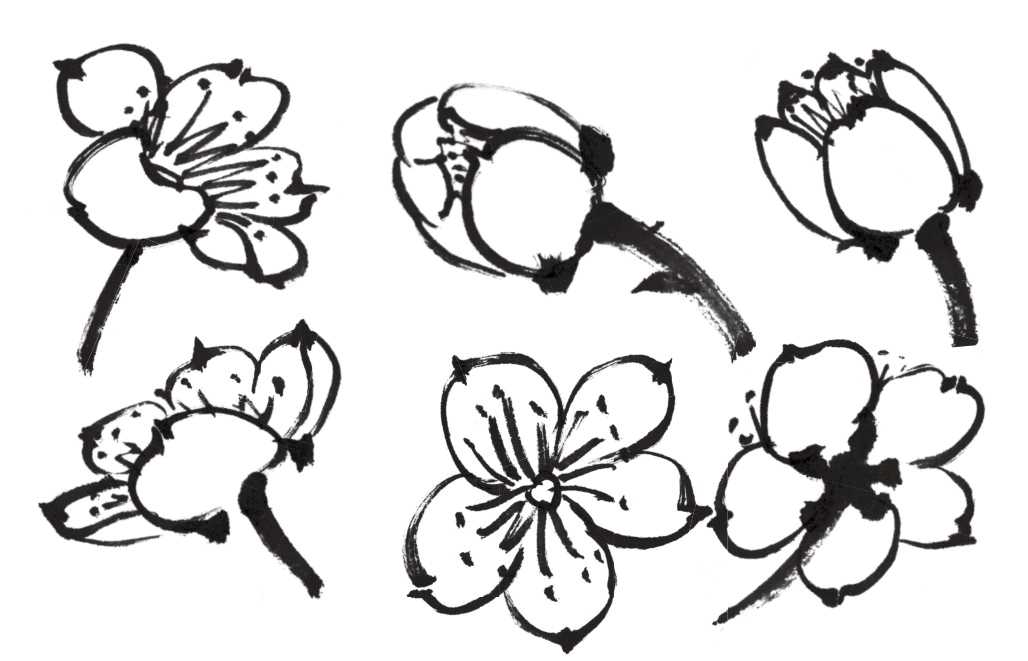 怎么画梅花和梅花树,写意画梅花的画法视频