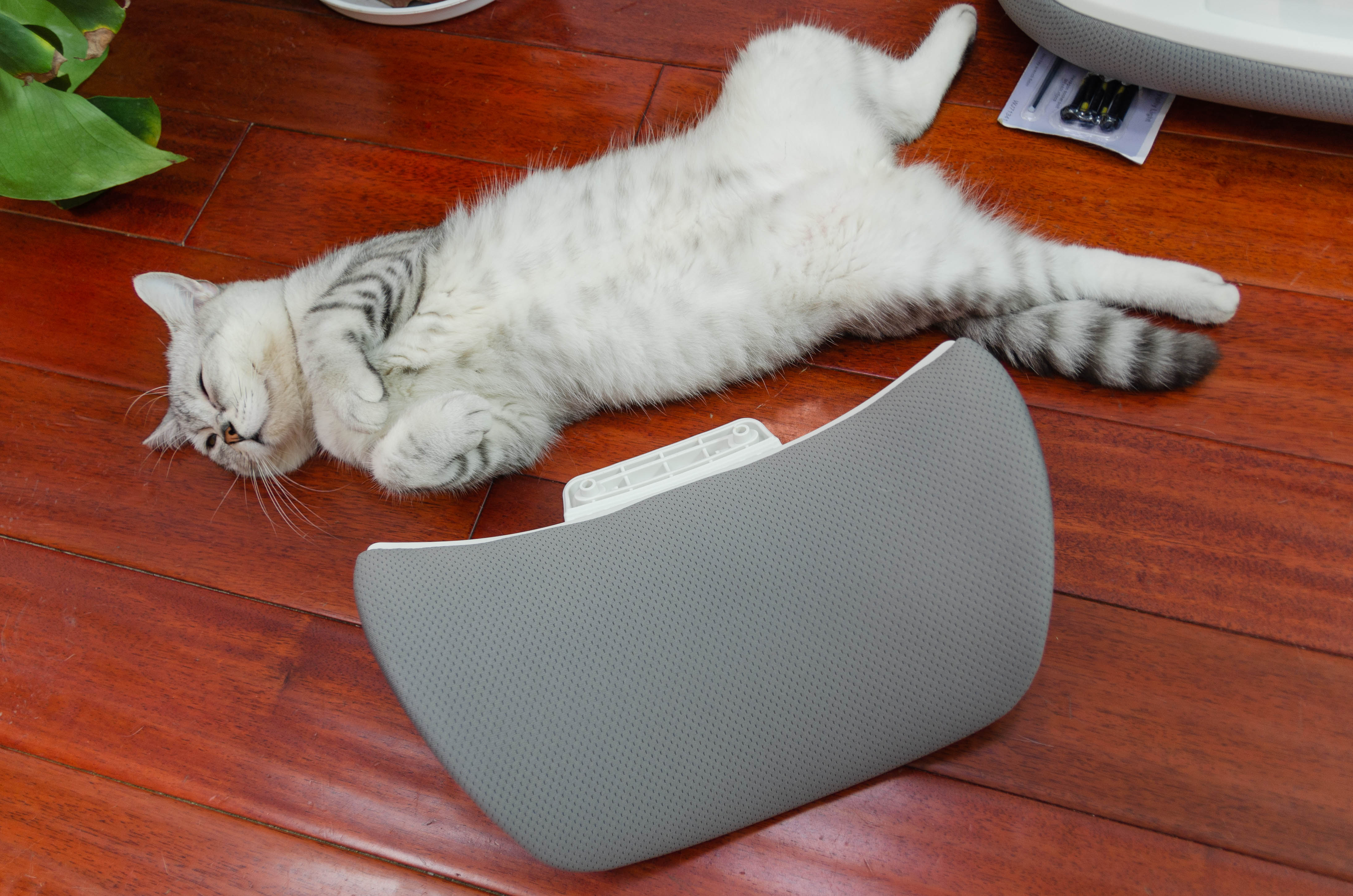 不花冤枉钱物有所值,不花冤枉钱性价比高