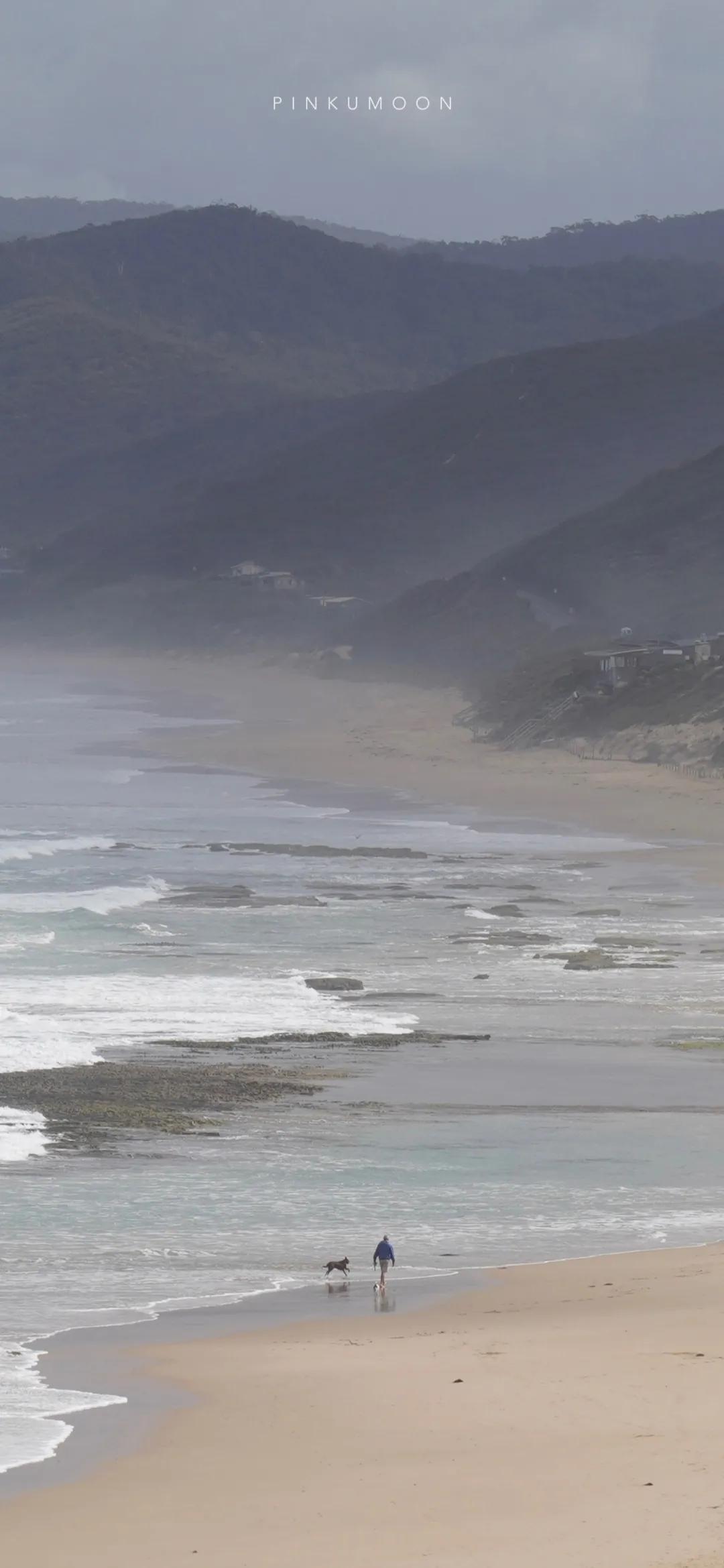 纯紫唯美壁纸,淡紫壁纸高级感