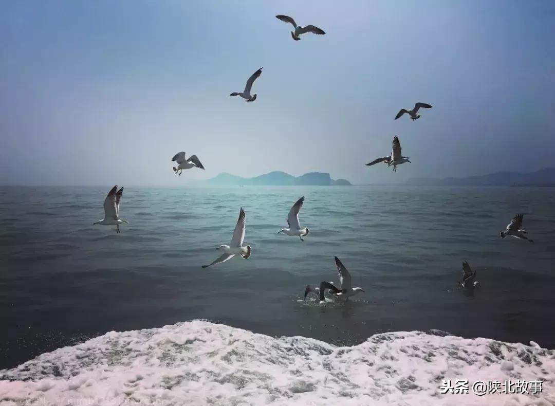 这个最适合冬天来的北方小城，光是海鲜就能让你吃回票价