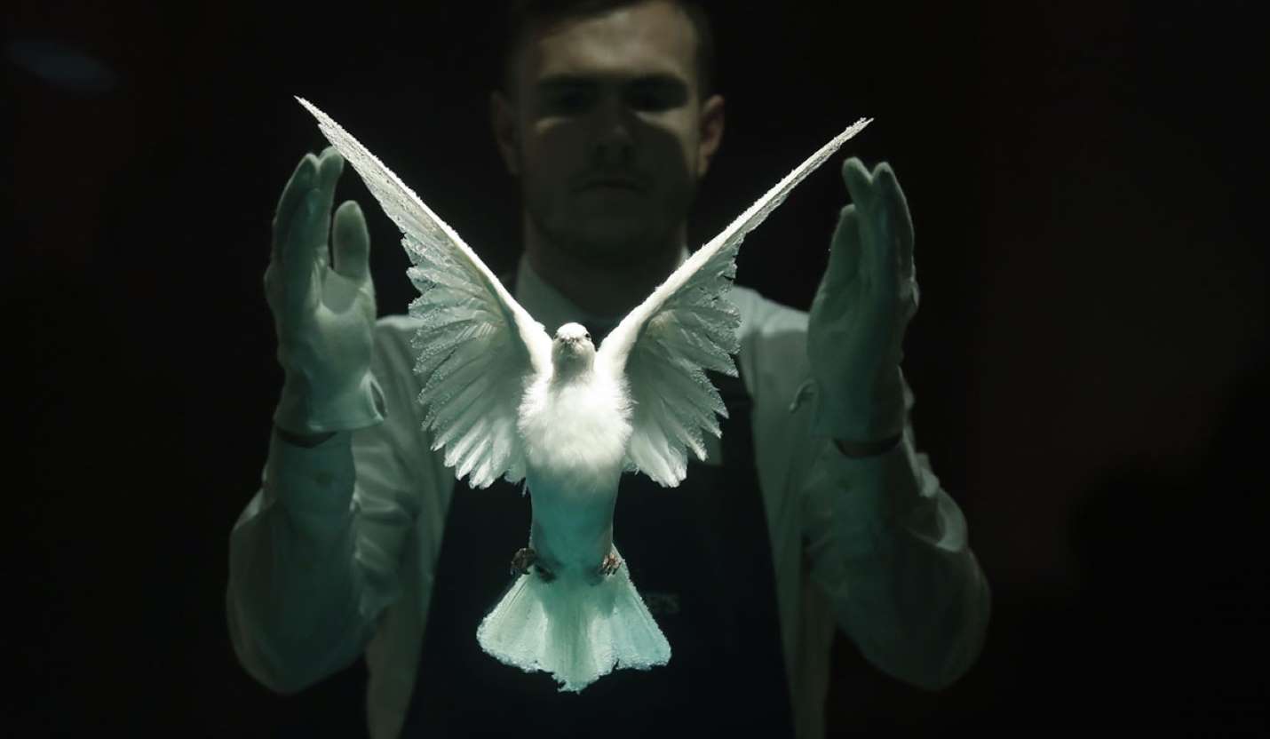 最近一周风景手机摄影,世界之最的摄影艺术照片