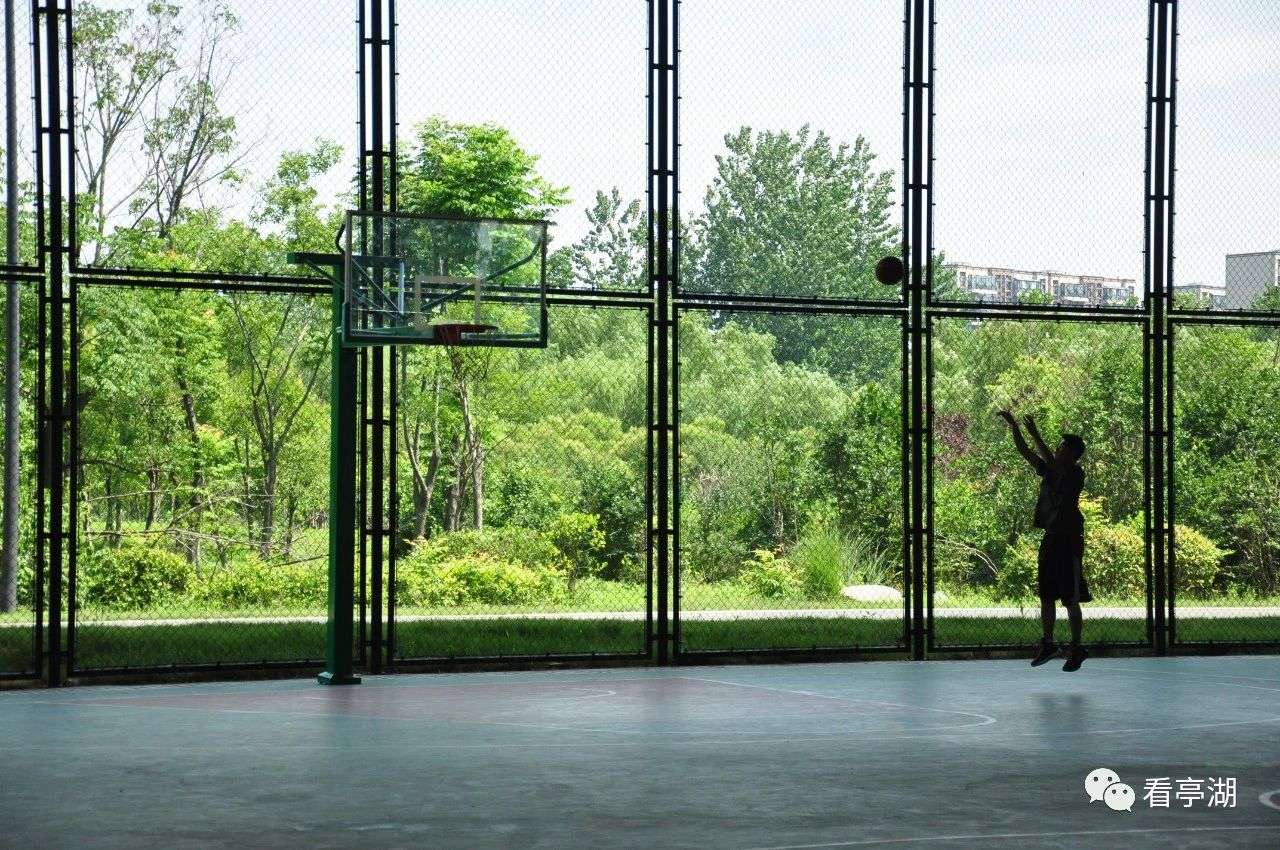 网红高架桥下篮球场,深圳人气爆棚的网红球场