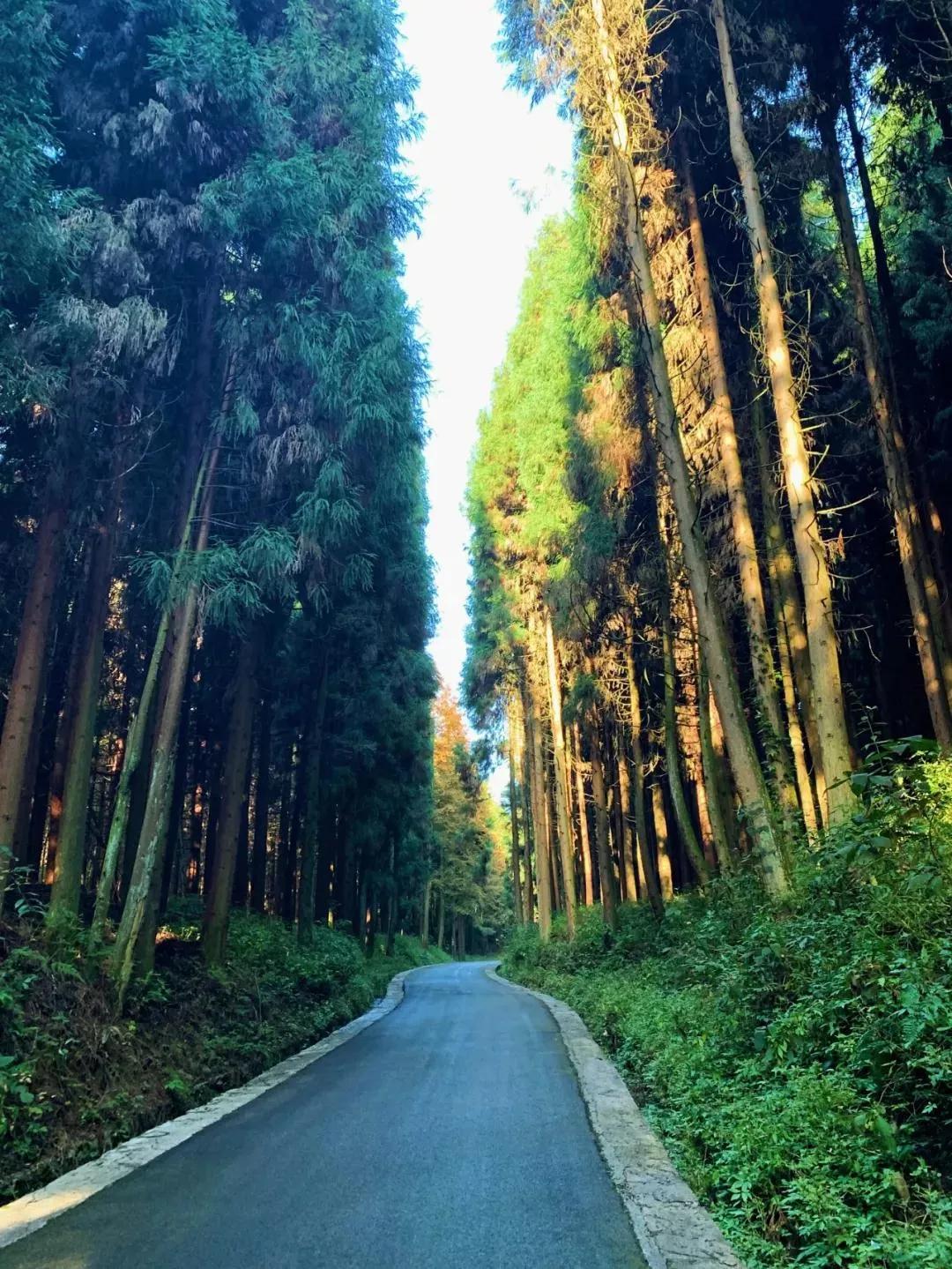 重庆周边旅游1-3天攻略最佳线路,重庆小众但绝美的旅游地点