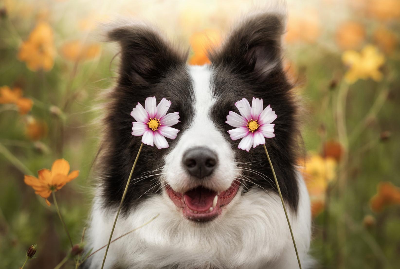 提高审美｜推荐10大中外人像摄影大神