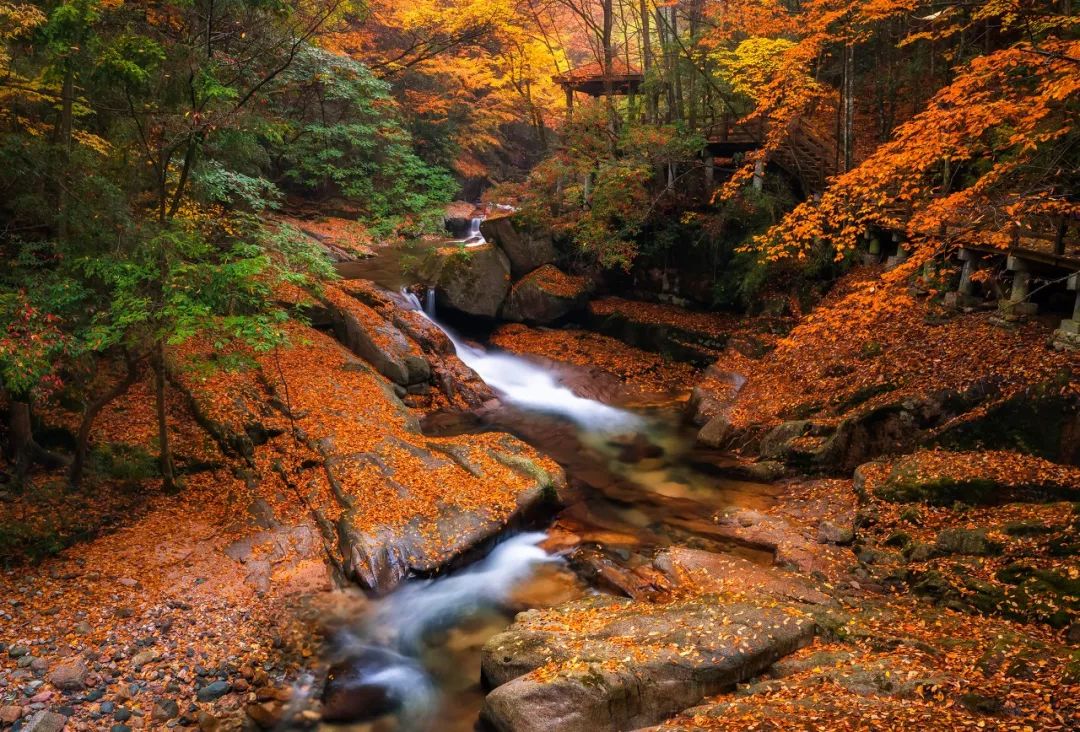 描写深秋的景色凄凉的诗词,深秋伤感无奈的诗词