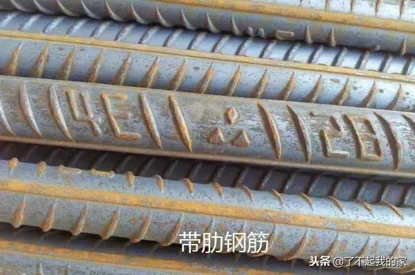 带你从另一面走进钢筋的世界,从另一面走进钢筋的世界