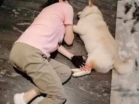 香港影坛6大绝色美人境况悬殊:张敏失业,关之琳活成亿万富婆