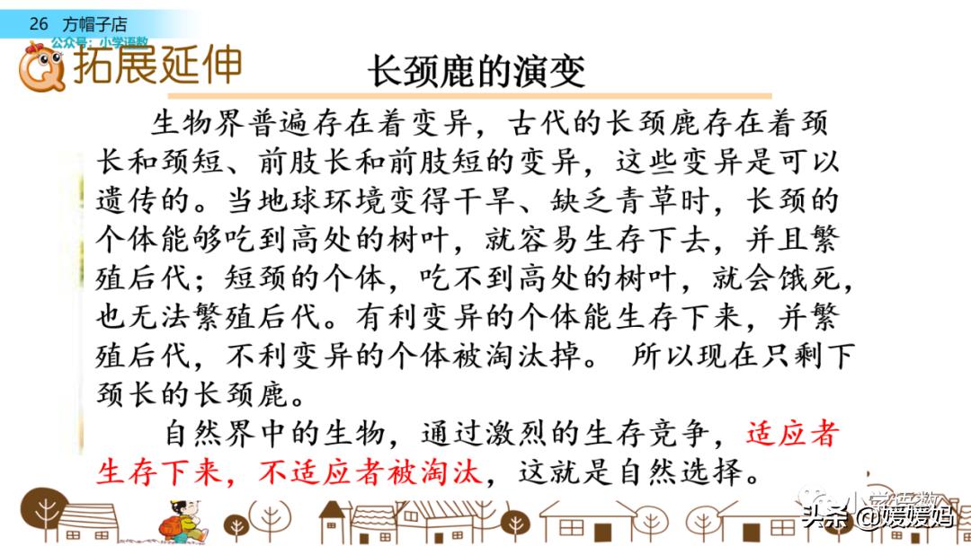 三年级下册方帽子店笔记,三年级下册方帽子店课文朗读