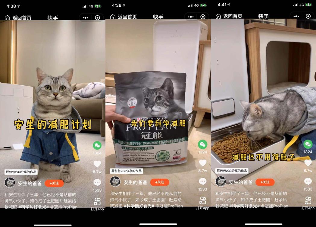 百万宠物老铁围观，快手双11联袂普瑞纳冠能，塑造宠物直播新模式