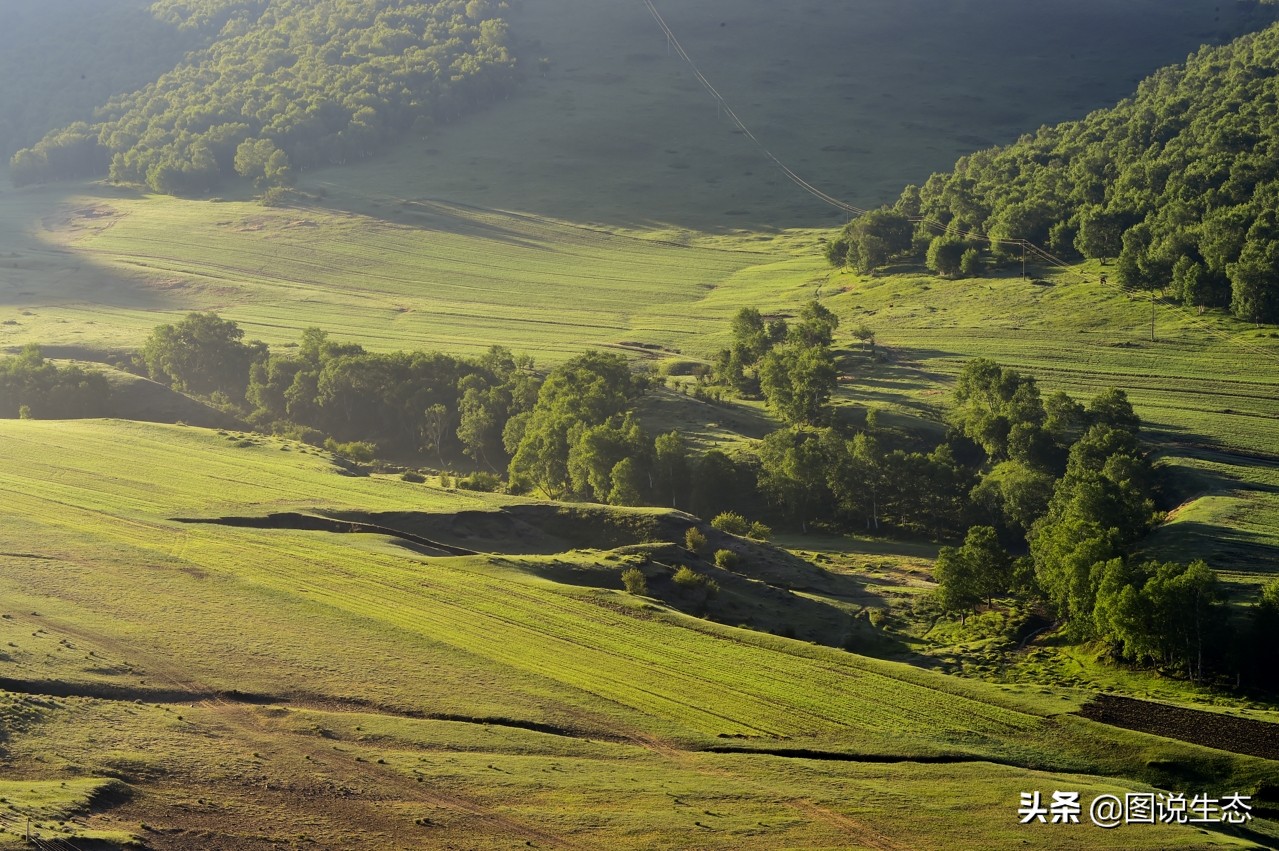 20年风雨治沙路，绿水青山秀丰宁