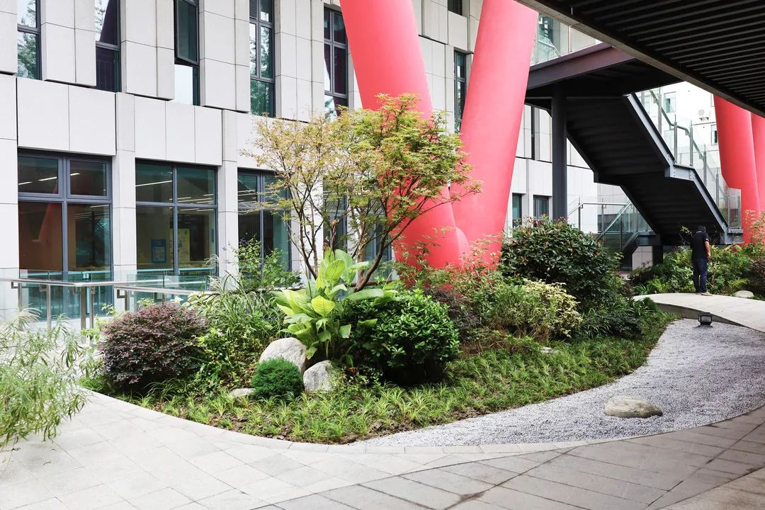 沪上“花园式”工地办公是怎样的体验?来看看这个白玉兰奖工程吧