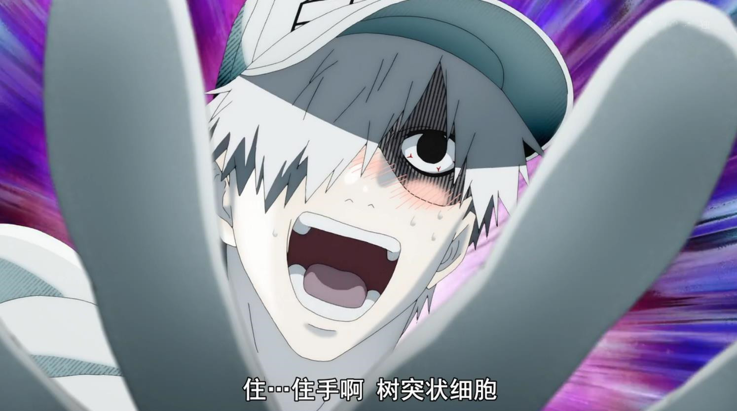 黑历史曝光！NK姐贵是“小公主”，白细胞曾为胖子，反差萌亮了