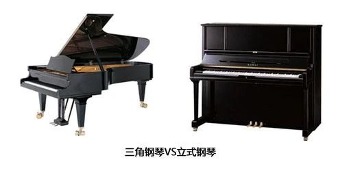 怎么选琴不会被坑,为什么建议入门选台好些的琴