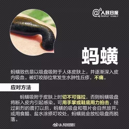 广西一女子被蚂蚁咬伤后不幸身亡,广西姑娘被一只蚂蚁咬到紧急住院