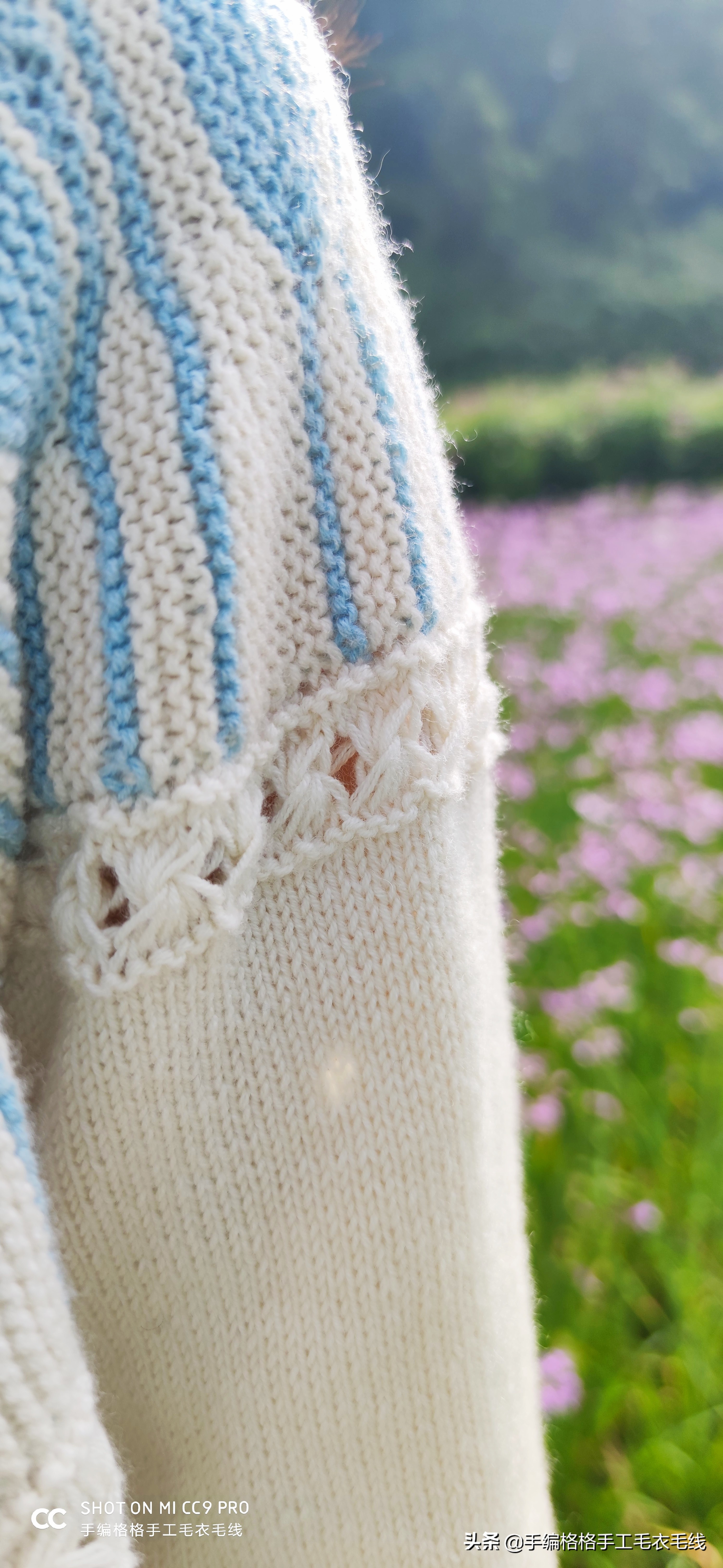 澳洲郁金香花语,郁金香花语教程全集