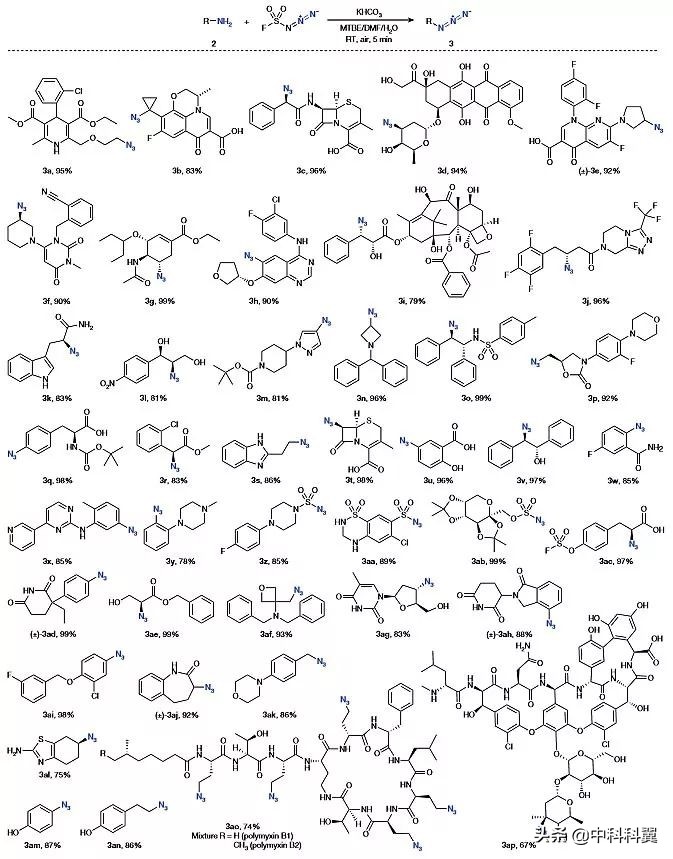 上海有机所Nature：源于“意外”的点击化学新突破