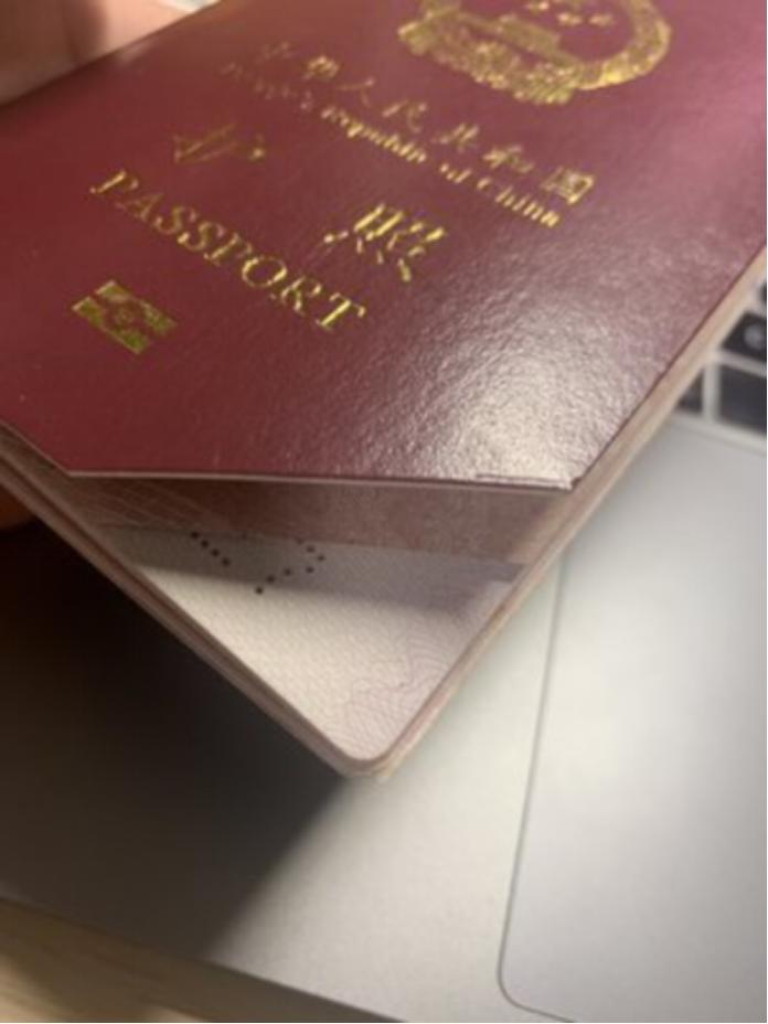 签证有效期内如何更换护照信息,签证过程中需要紧急拿回护照