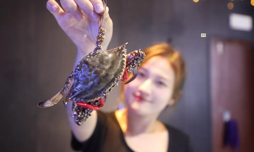 生活在日照是什么感觉,生活在日照就是幸福征文800字