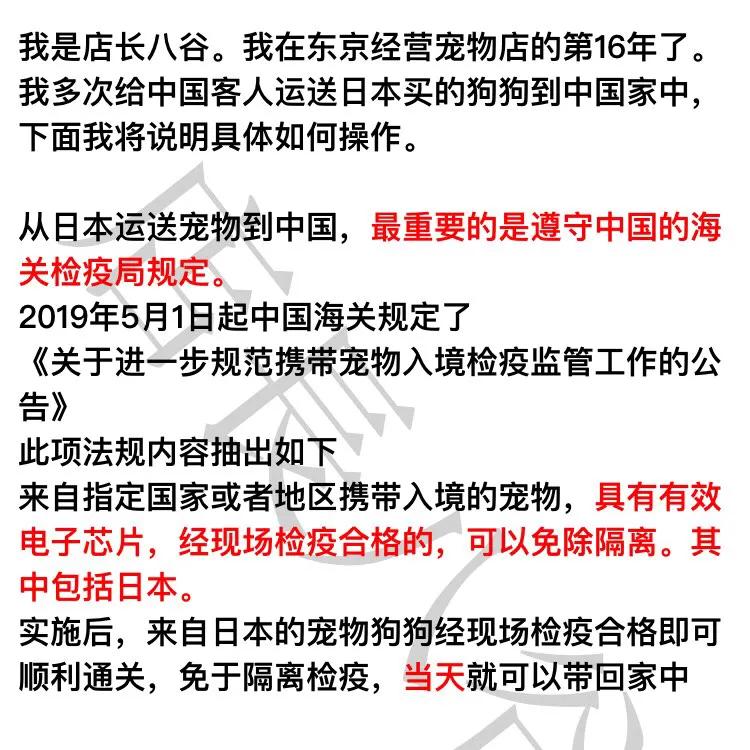 日本买了车怎么运回中国,日本柴犬带回中国