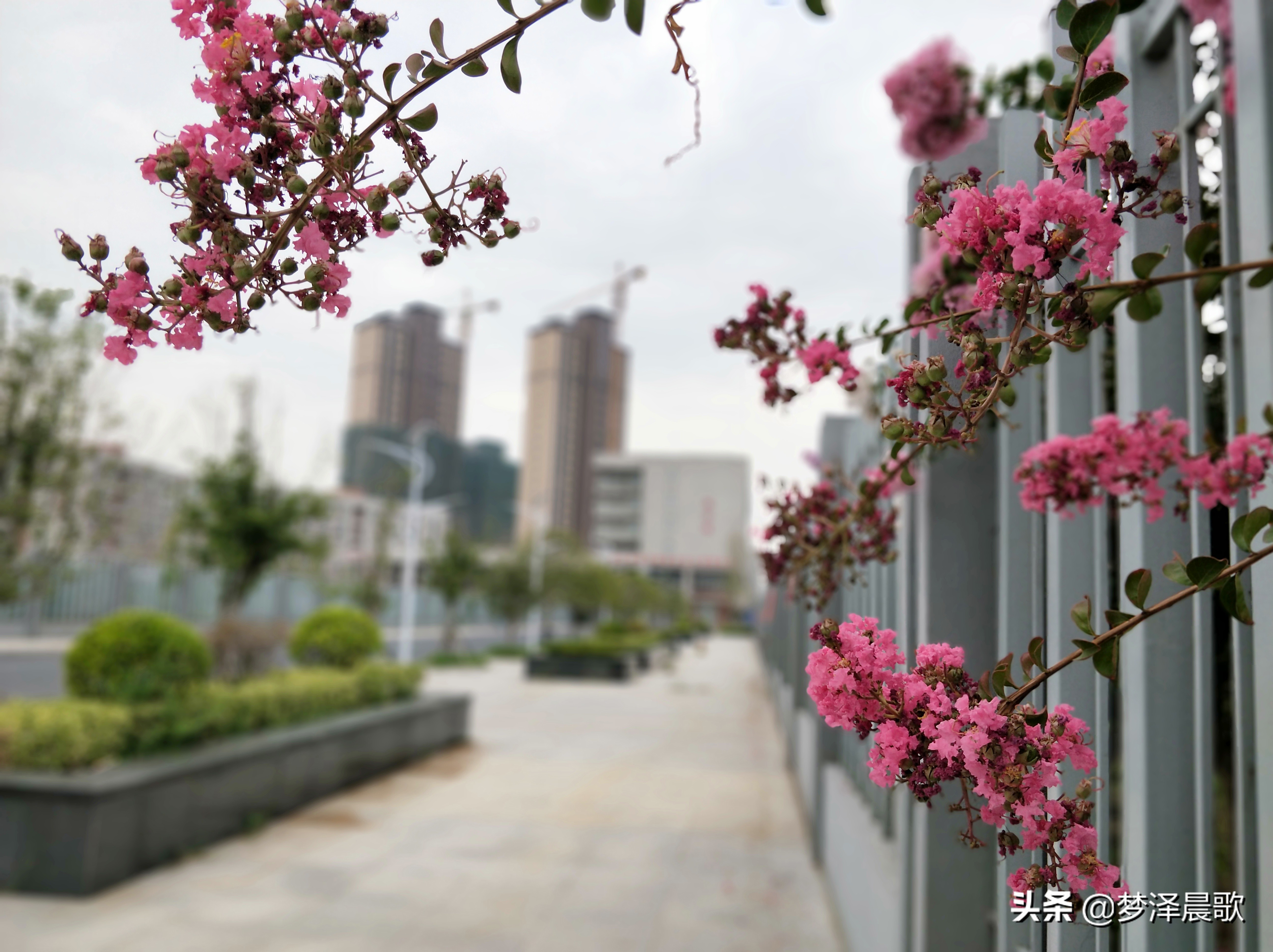 云梦县黄香小学好吗,云梦县黄香小学全貌图