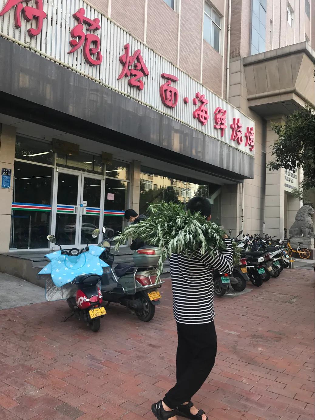 芳村普洱茶好吗,芳村大益普洱茶每日最新价格行情