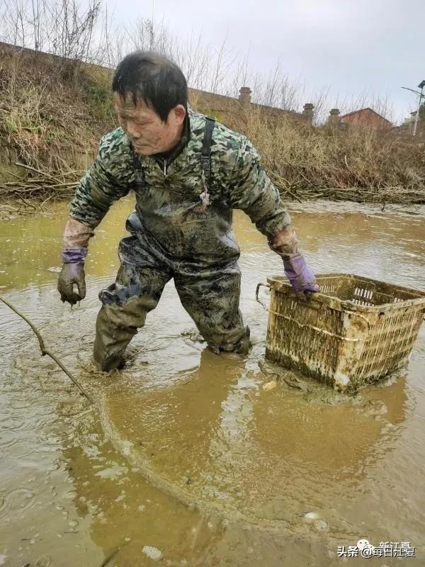 抗击疫情百姓故事,抗疫历史故事