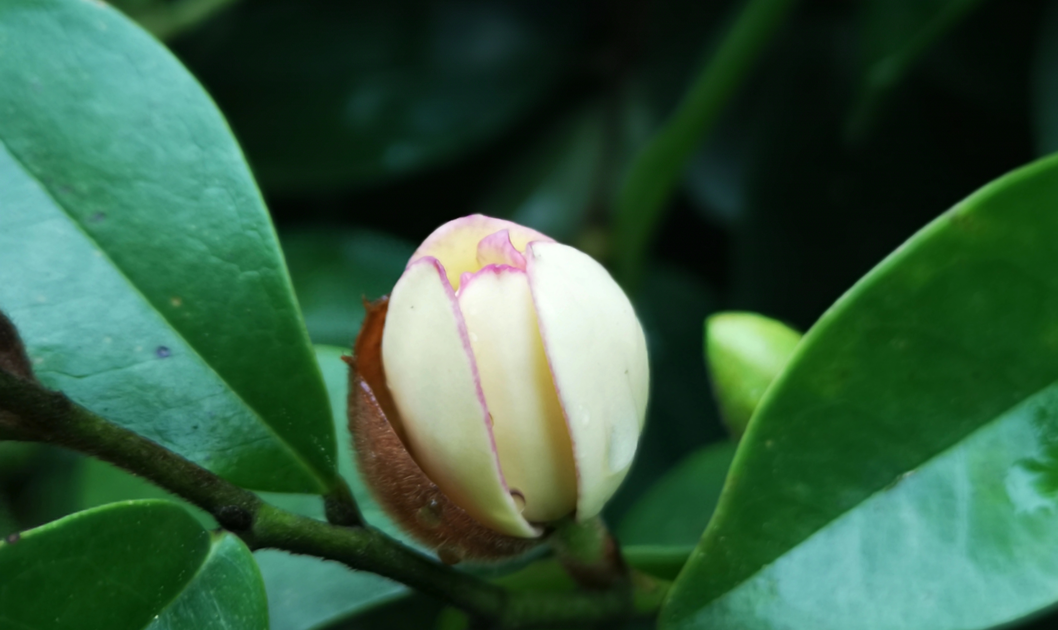 寻找身边的美丽身影,寻找身边美丽景色