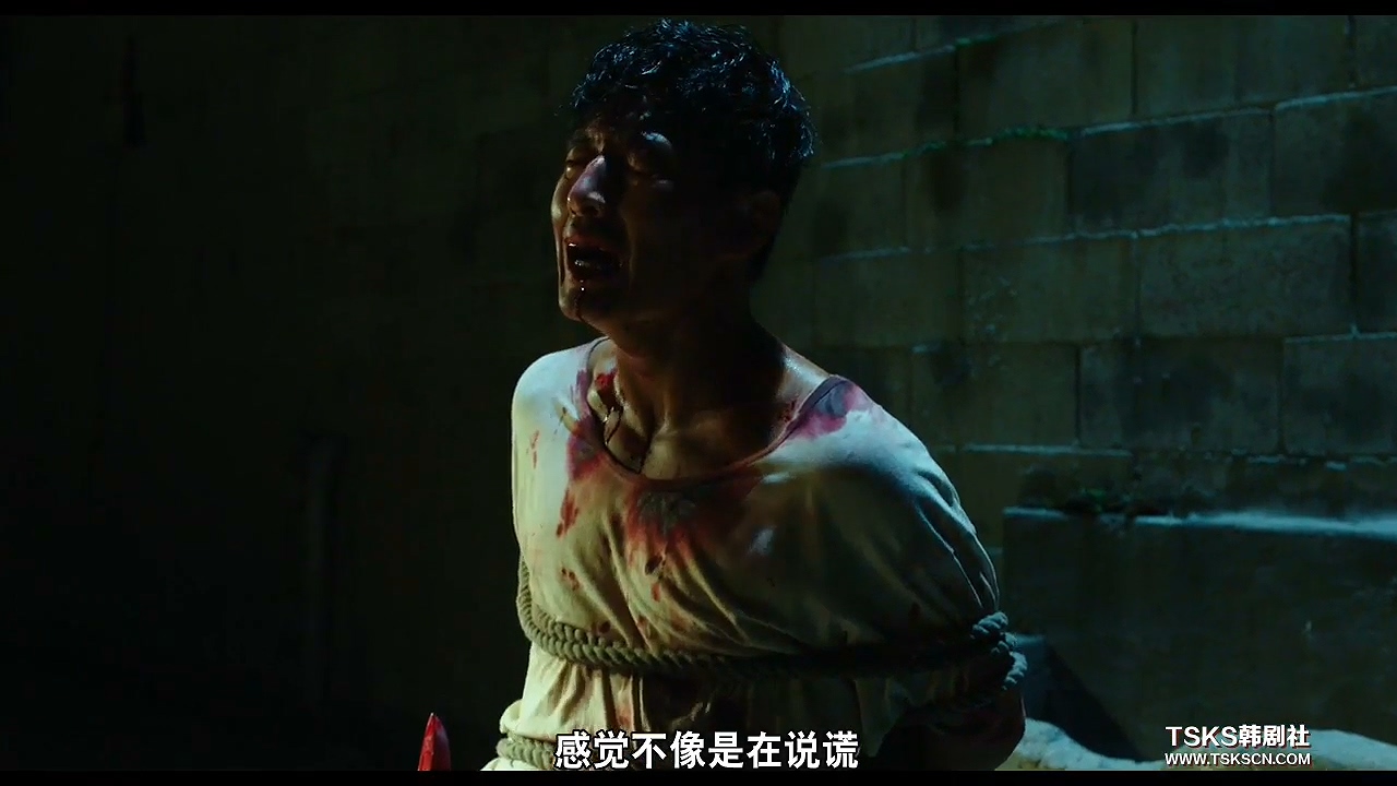 悬疑无尿点的韩国电影,无尿点的韩国悬疑电影