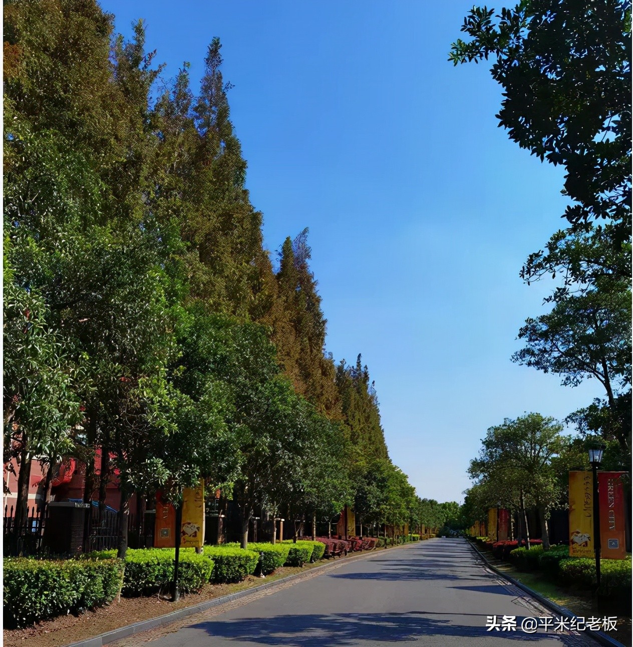 建平实验和上实东校哪个好,建平西校好还是上海实验中学好