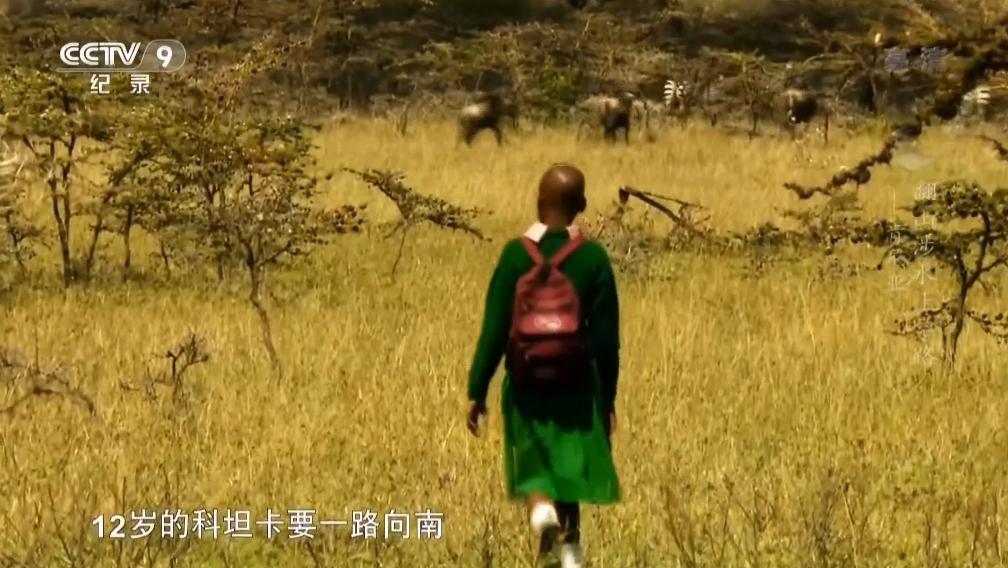 非洲小孩艰难的上学路：每天都在赌命，要是没回家就是被狮子吃了