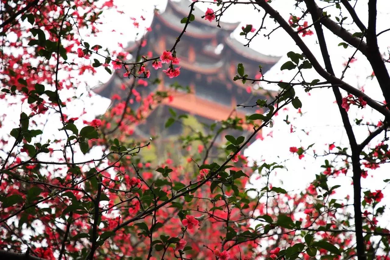 关于朱熹的经典诗词名句,关于朱熹的诗有哪些