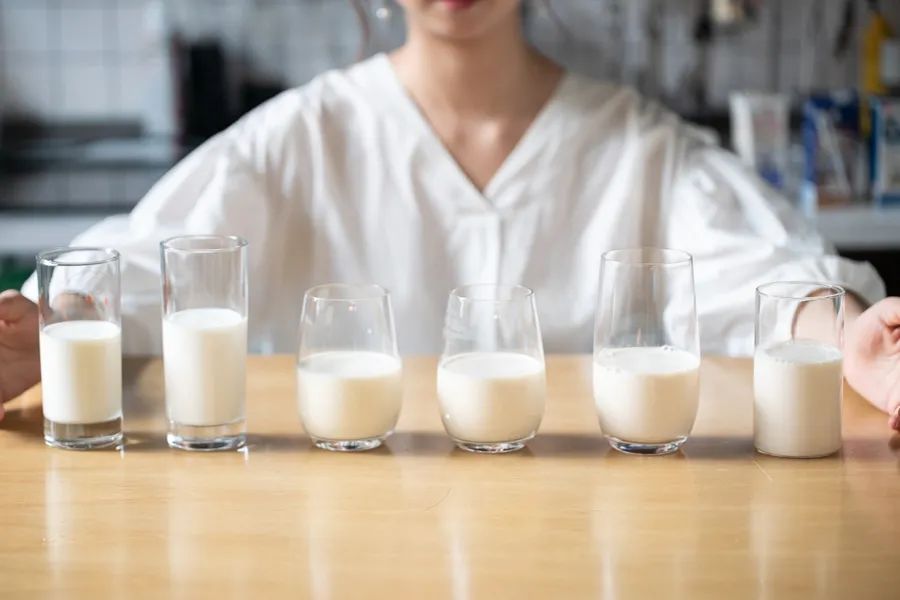 小众牛奶品牌,19年小众牛奶