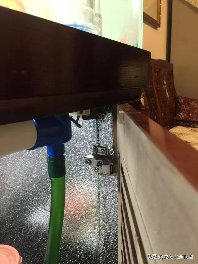 垃圾桶旁边的四方鱼缸，捡回去养了一缸金鱼，别说还挺不错