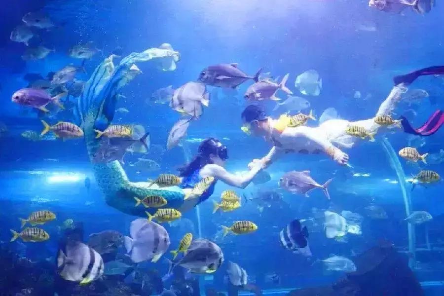 领上孩子父母一起去玩呀!长沙又一波特惠票来了!很值得一去哦