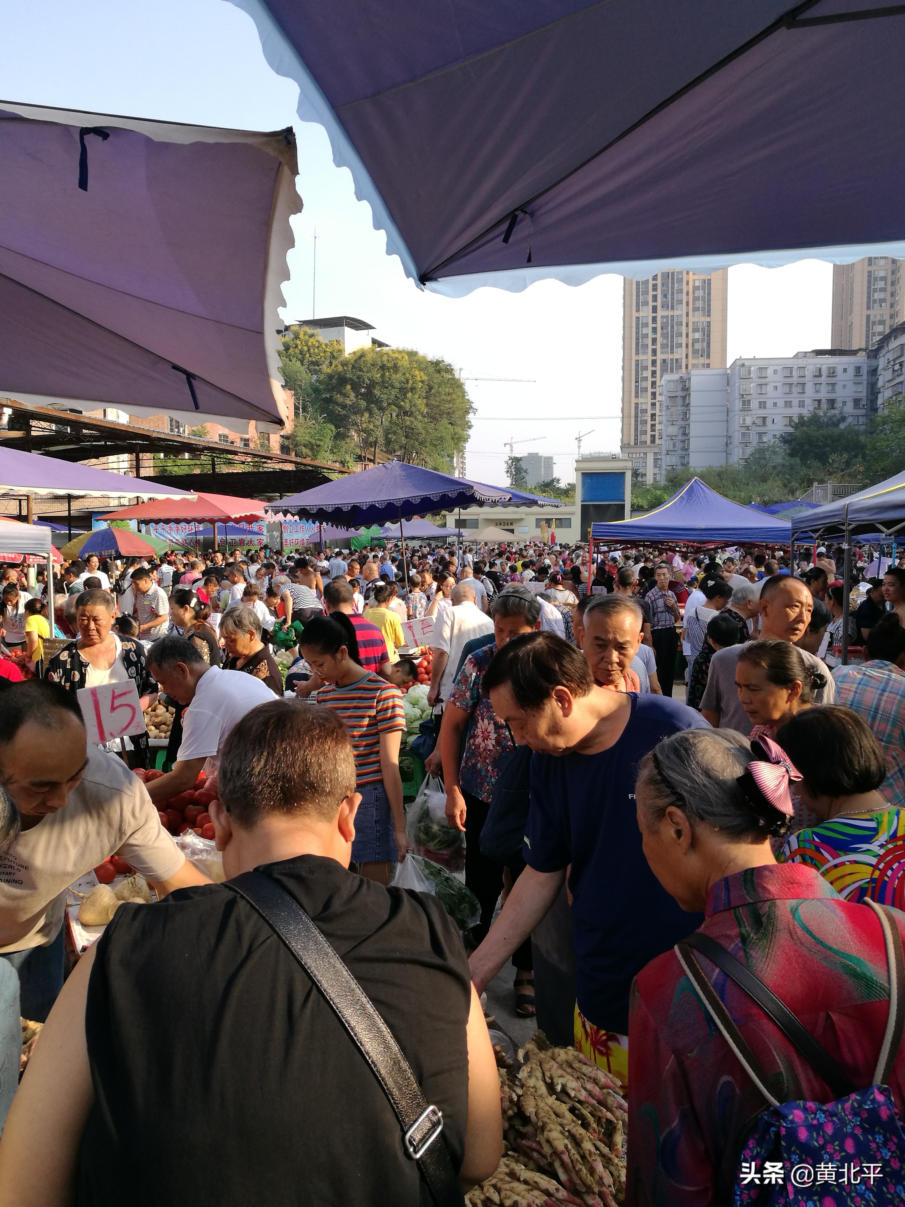 重庆市巴南区界石镇特色,重庆市巴南区界石镇房价