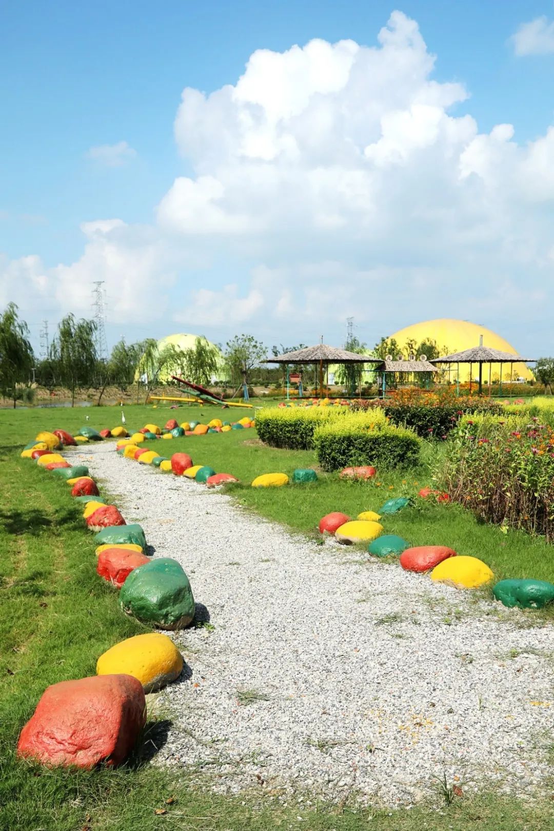 森氧之地，秋游必选！金湖万亩水上森林，真的别有趣味