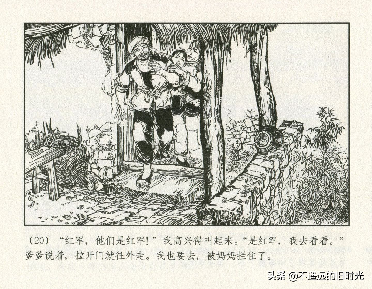 朝阳花-上海人民美术出版社1981初版2016再版陆成法陆小弟绘